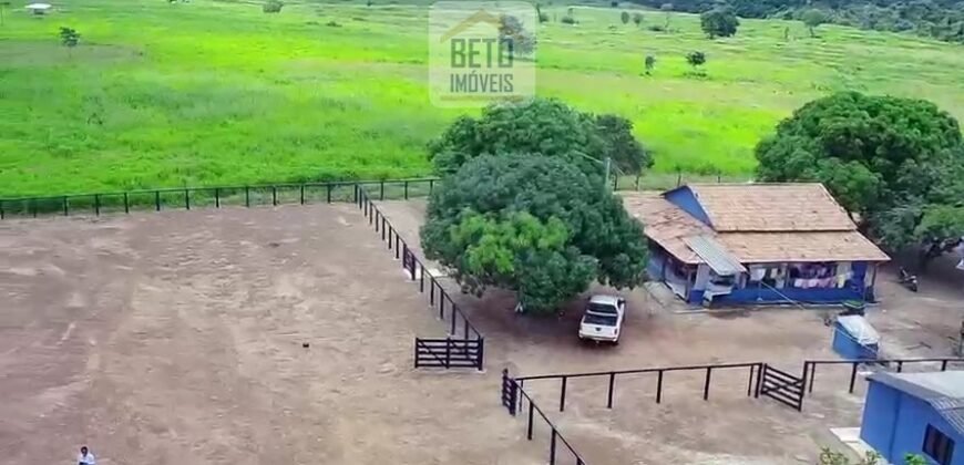 Fazenda c/ pecuária intensiva 570 alqueires em Vila Rica – MT