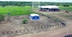 Fazenda c/ pecuária intensiva 570 alqueires em Vila Rica – MT