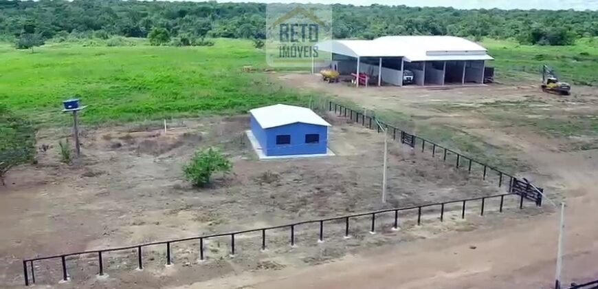 Fazenda c/ pecuária intensiva 570 alqueires em Vila Rica – MT
