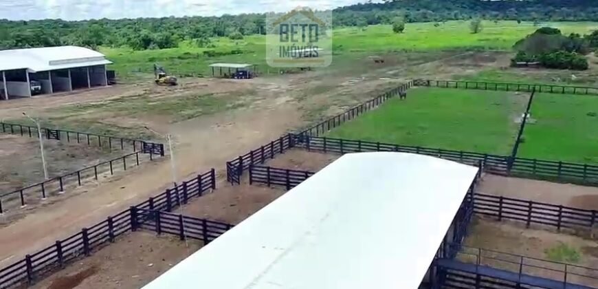 Fazenda c/ pecuária intensiva 570 alqueires em Vila Rica – MT