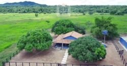 Fazenda c/ pecuária intensiva 570 alqueires em Vila Rica – MT
