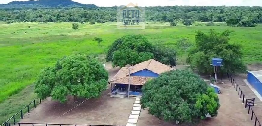 Fazenda c/ pecuária intensiva 570 alqueires em Vila Rica – MT
