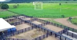 Fazenda c/ pecuária intensiva 570 alqueires em Vila Rica – MT