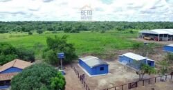 Fazenda c/ pecuária intensiva 570 alqueires em Vila Rica – MT