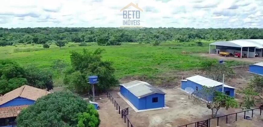 Fazenda c/ pecuária intensiva 570 alqueires em Vila Rica – MT
