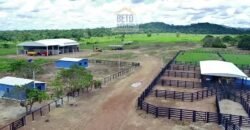 Fazenda c/ pecuária intensiva 570 alqueires em Vila Rica – MT