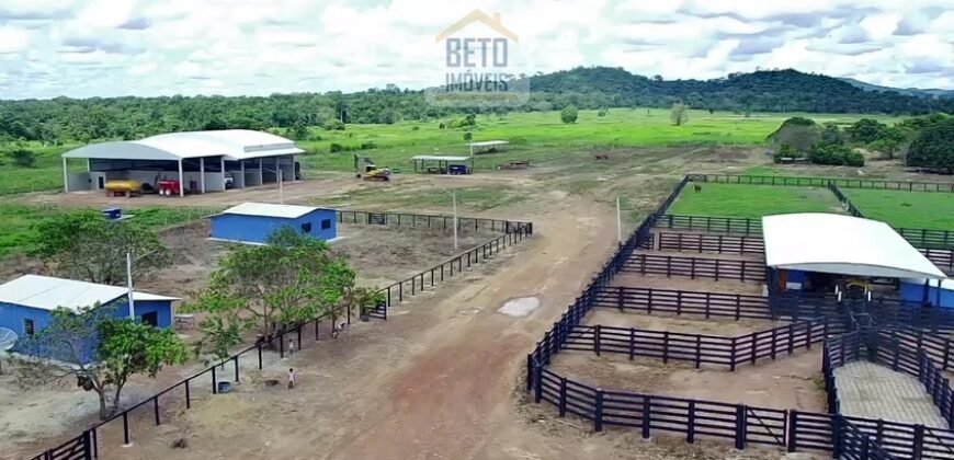 Fazenda c/ pecuária intensiva 570 alqueires em Vila Rica – MT