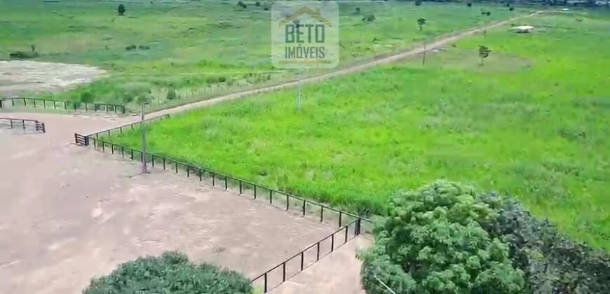 Fazenda c/ pecuária intensiva 570 alqueires em Vila Rica – MT