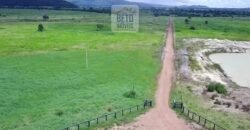 Fazenda c/ pecuária intensiva 570 alqueires em Vila Rica – MT