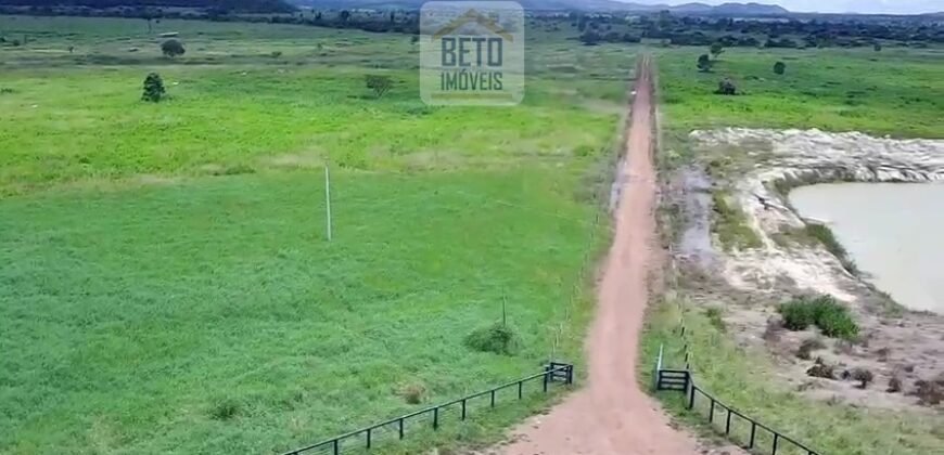 Fazenda c/ pecuária intensiva 570 alqueires em Vila Rica – MT