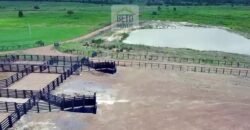 Fazenda c/ pecuária intensiva 570 alqueires em Vila Rica – MT