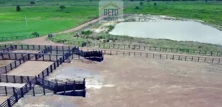 Fazenda c/ pecuária intensiva 570 alqueires em Vila Rica – MT
