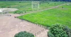 Fazenda c/ pecuária intensiva 570 alqueires em Vila Rica – MT