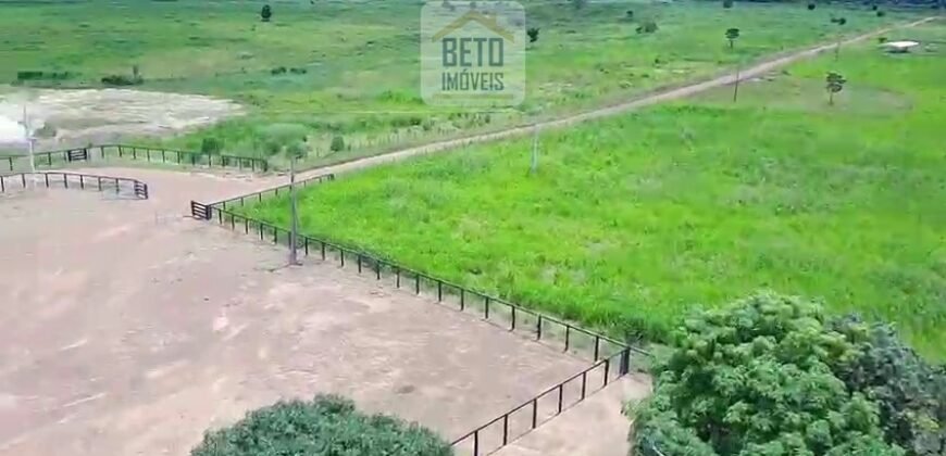 Fazenda c/ pecuária intensiva 570 alqueires em Vila Rica – MT