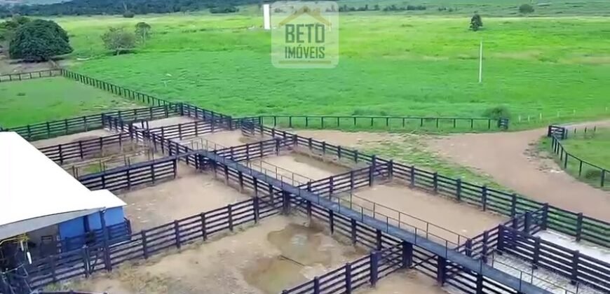 Fazenda c/ pecuária intensiva 570 alqueires em Vila Rica – MT