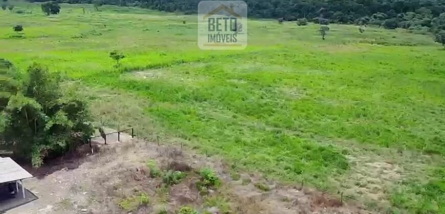 Fazenda c/ pecuária intensiva 570 alqueires em Vila Rica – MT