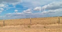 Fazenda para lavoura à Venda, 2.356 hectares em Unaí Minas Gerais