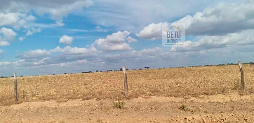 Fazenda para lavoura à Venda, 2.356 hectares em Unaí Minas Gerais