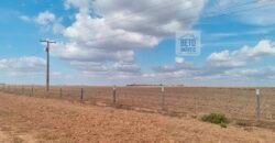 Fazenda para lavoura à Venda, 2.356 hectares em Unaí Minas Gerais