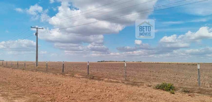 Fazenda para lavoura à Venda, 2.356 hectares em Unaí Minas Gerais
