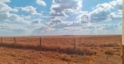 Fazenda para lavoura à Venda, 2.356 hectares em Unaí Minas Gerais