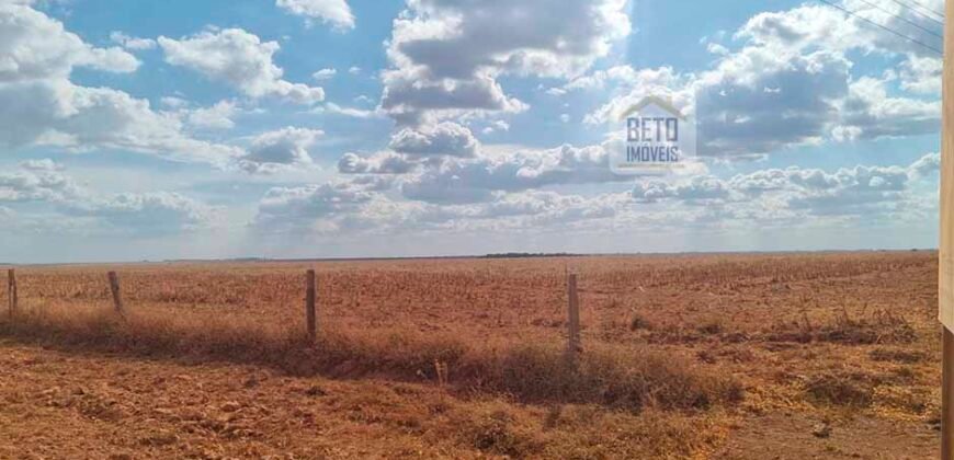 Fazenda para lavoura à Venda, 2.356 hectares em Unaí Minas Gerais