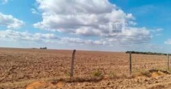 Fazenda para lavoura à Venda, 2.356 hectares em Unaí Minas Gerais