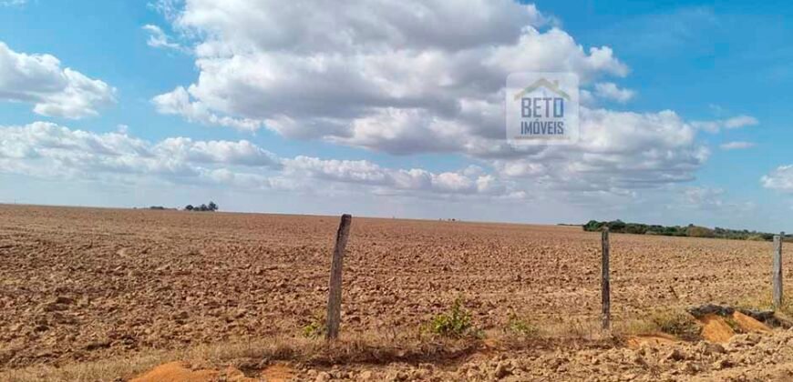 Fazenda para lavoura à Venda, 2.356 hectares em Unaí Minas Gerais