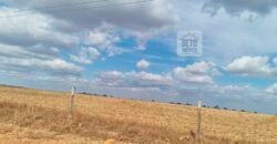 Fazenda para lavoura à Venda, 2.356 hectares em Unaí Minas Gerais