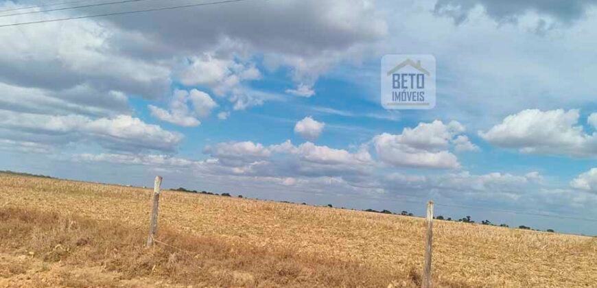 Fazenda para lavoura à Venda, 2.356 hectares em Unaí Minas Gerais
