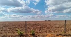 Fazenda para lavoura à Venda, 2.356 hectares em Unaí Minas Gerais