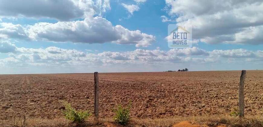 Fazenda para lavoura à Venda, 2.356 hectares em Unaí Minas Gerais