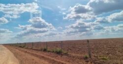 Fazenda para lavoura à Venda, 2.356 hectares em Unaí Minas Gerais