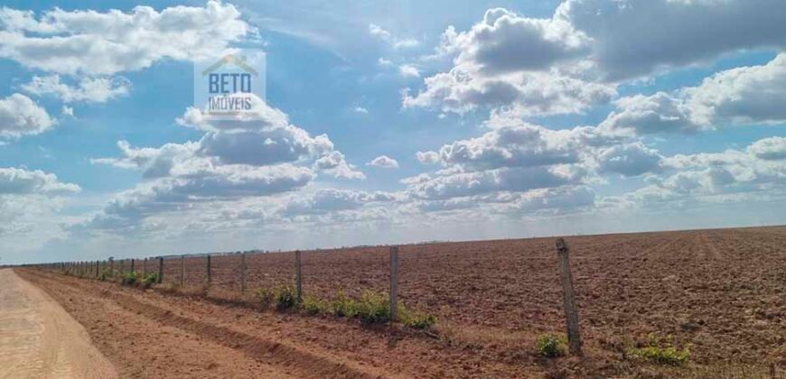 Fazenda para lavoura à Venda, 2.356 hectares em Unaí Minas Gerais