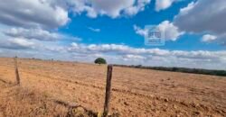 Fazenda para lavoura à Venda, 2.356 hectares em Unaí Minas Gerais