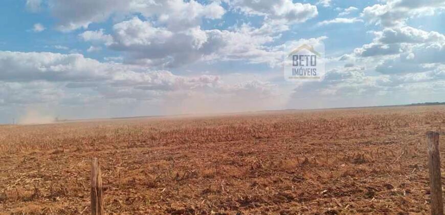 Fazenda para lavoura à Venda, 2.356 hectares em Unaí Minas Gerais