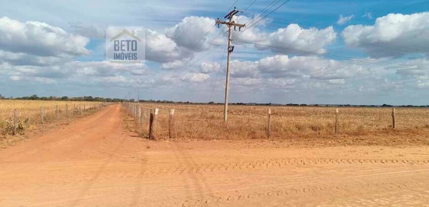 Fazenda para lavoura à Venda, 2.356 hectares em Unaí Minas Gerais
