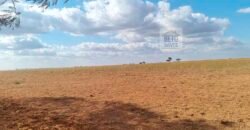 Fazenda para lavoura à Venda, 2.356 hectares em Unaí Minas Gerais