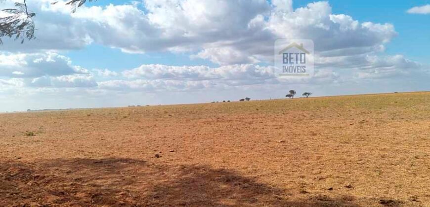 Fazenda para lavoura à Venda, 2.356 hectares em Unaí Minas Gerais