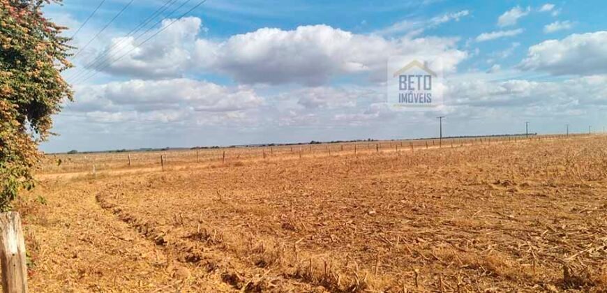 Fazenda para lavoura à Venda, 2.356 hectares em Unaí Minas Gerais