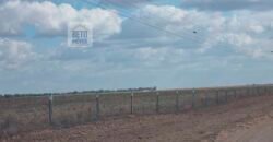 Fazenda para lavoura à Venda, 2.356 hectares em Unaí Minas Gerais