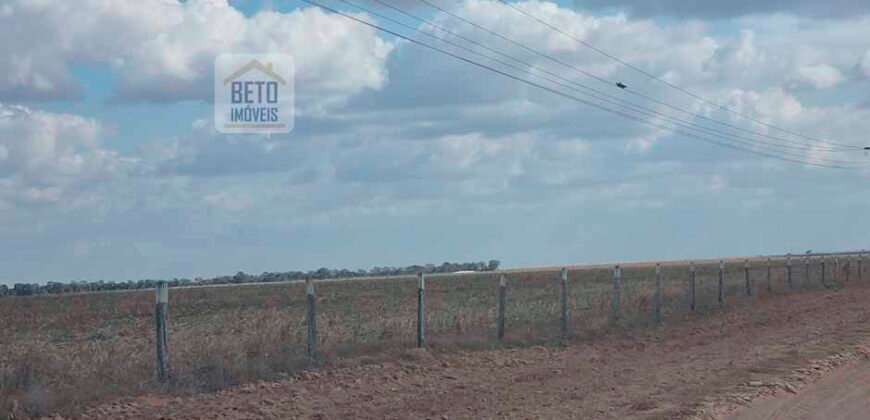 Fazenda para lavoura à Venda, 2.356 hectares em Unaí Minas Gerais