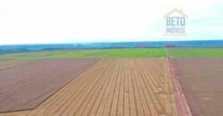 Fazenda à Venda 2618 hectares com plantio e produção ótima localização Alagoinha PI