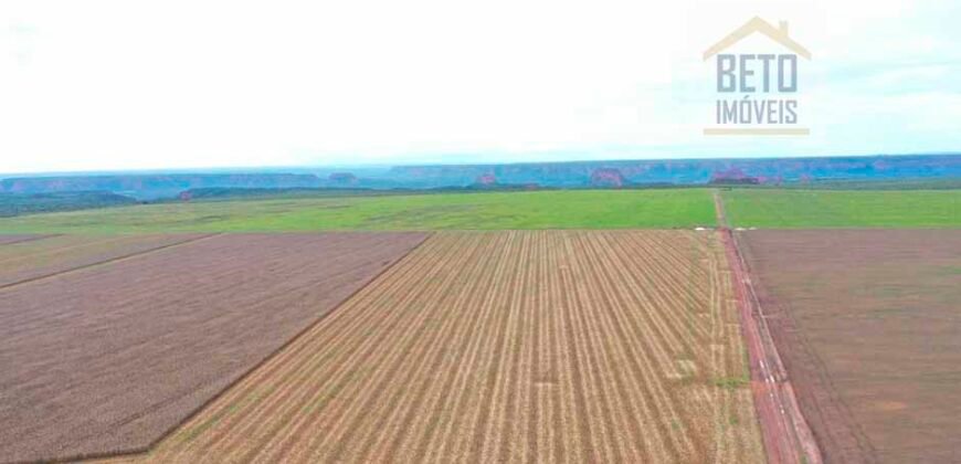 Fazenda à Venda 2618 hectares com plantio e produção ótima localização Alagoinha PI