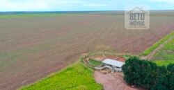 Fazenda à Venda 2618 hectares com plantio e produção ótima localização Alagoinha PI