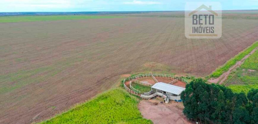 Fazenda à Venda 2618 hectares com plantio e produção ótima localização Alagoinha PI