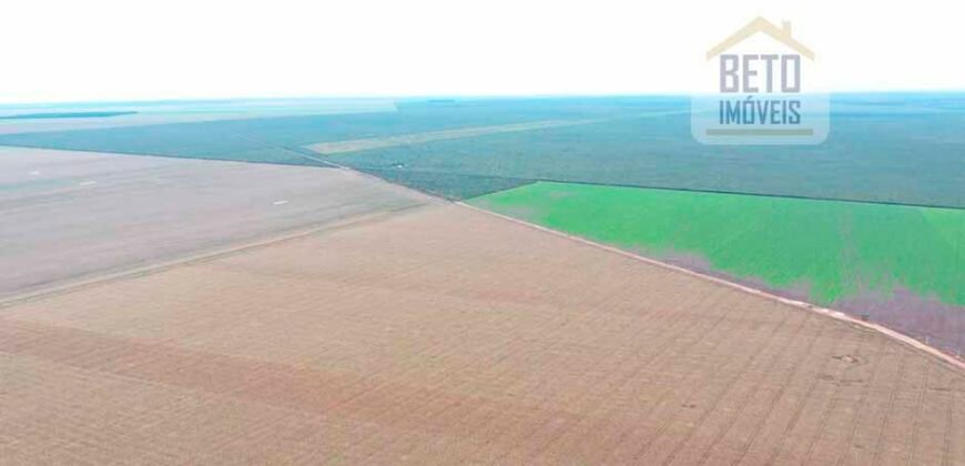Fazenda à Venda 2618 hectares com plantio e produção ótima localização Alagoinha PI