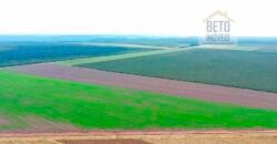 Fazenda à Venda 2618 hectares com plantio e produção ótima localização Alagoinha PI