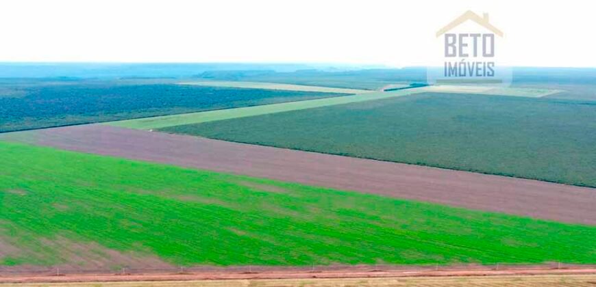 Fazenda à Venda 2618 hectares com plantio e produção ótima localização Alagoinha PI