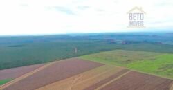 Fazenda à Venda 2618 hectares com plantio e produção ótima localização Alagoinha PI